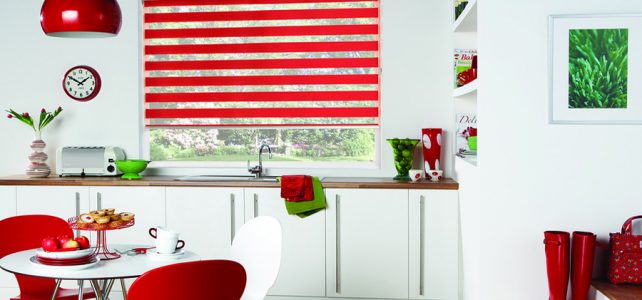 Quality Roller Vision Blinds